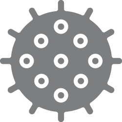 Tüy Yumağı Kontrolü